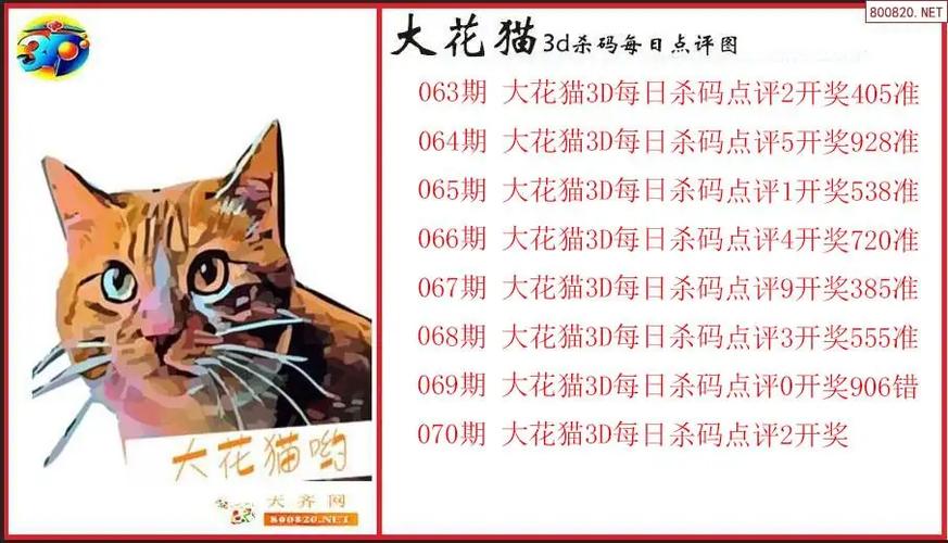 大花猫2版今天