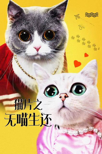 韵母攻略顾小暖原文免费阅读