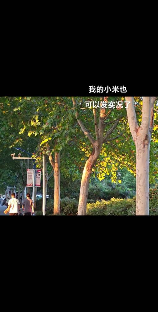 小米怎么发实况朋友圈