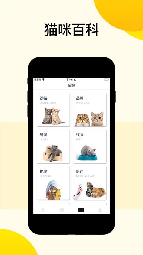 猫咪助手最新版下载