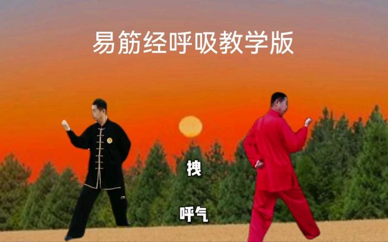 易筋经教学视频完整版口令