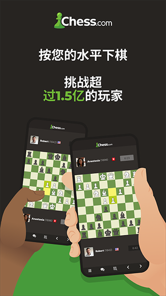 chess软件下载