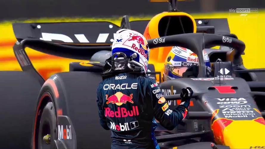 2010f1分站冠军