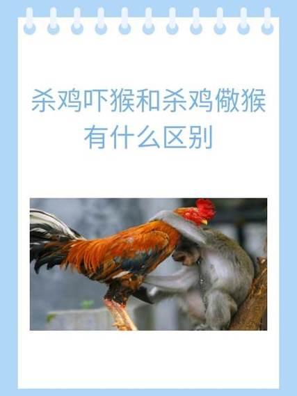 杀鸡作文600字