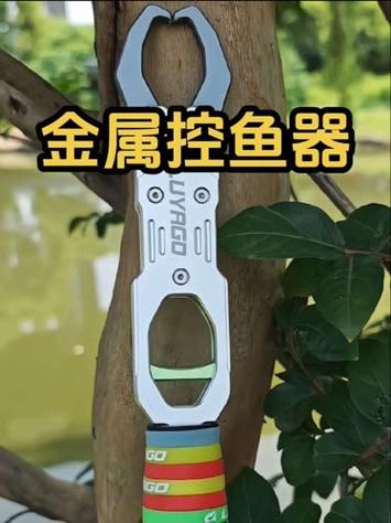 控鱼器怎么用视频