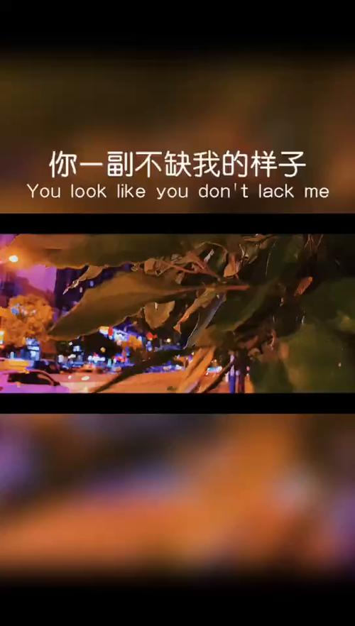 你的世界里不缺我一个缩略图