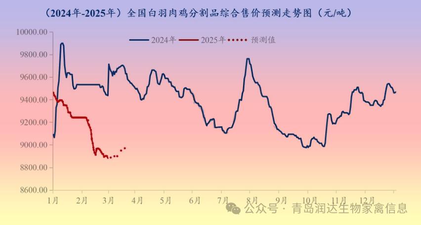 今晚毛鸡行情
