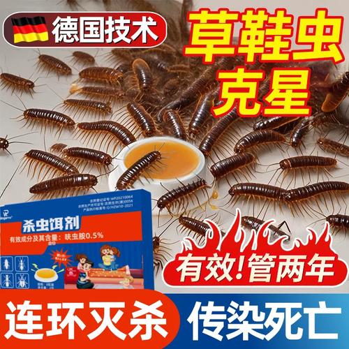 草鞋虫最好消灭方法