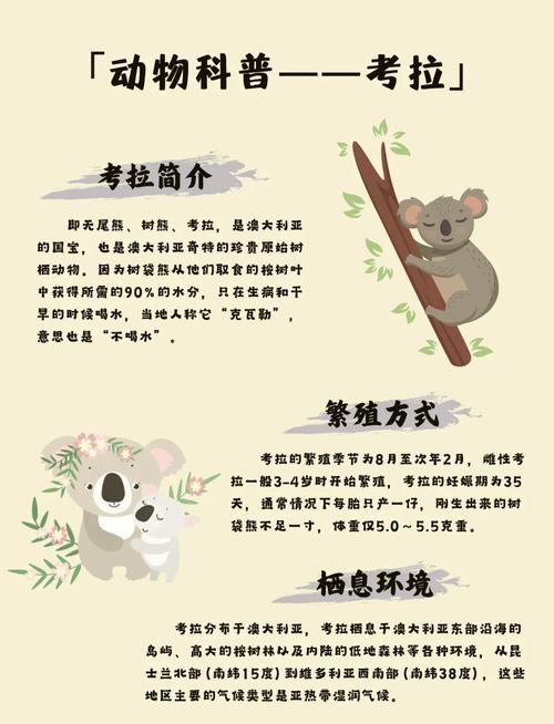 考拉新人专享怎么进去