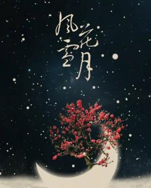 风花雪月M4图片