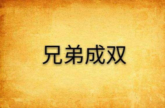 兄弟成双by