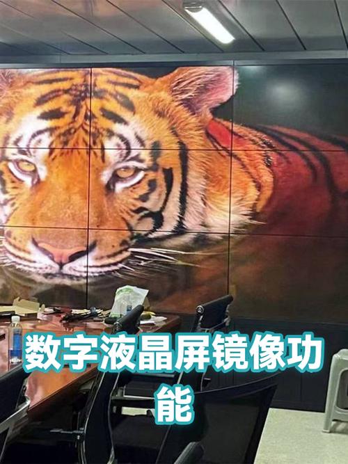 后置摄像头有没有镜像功能