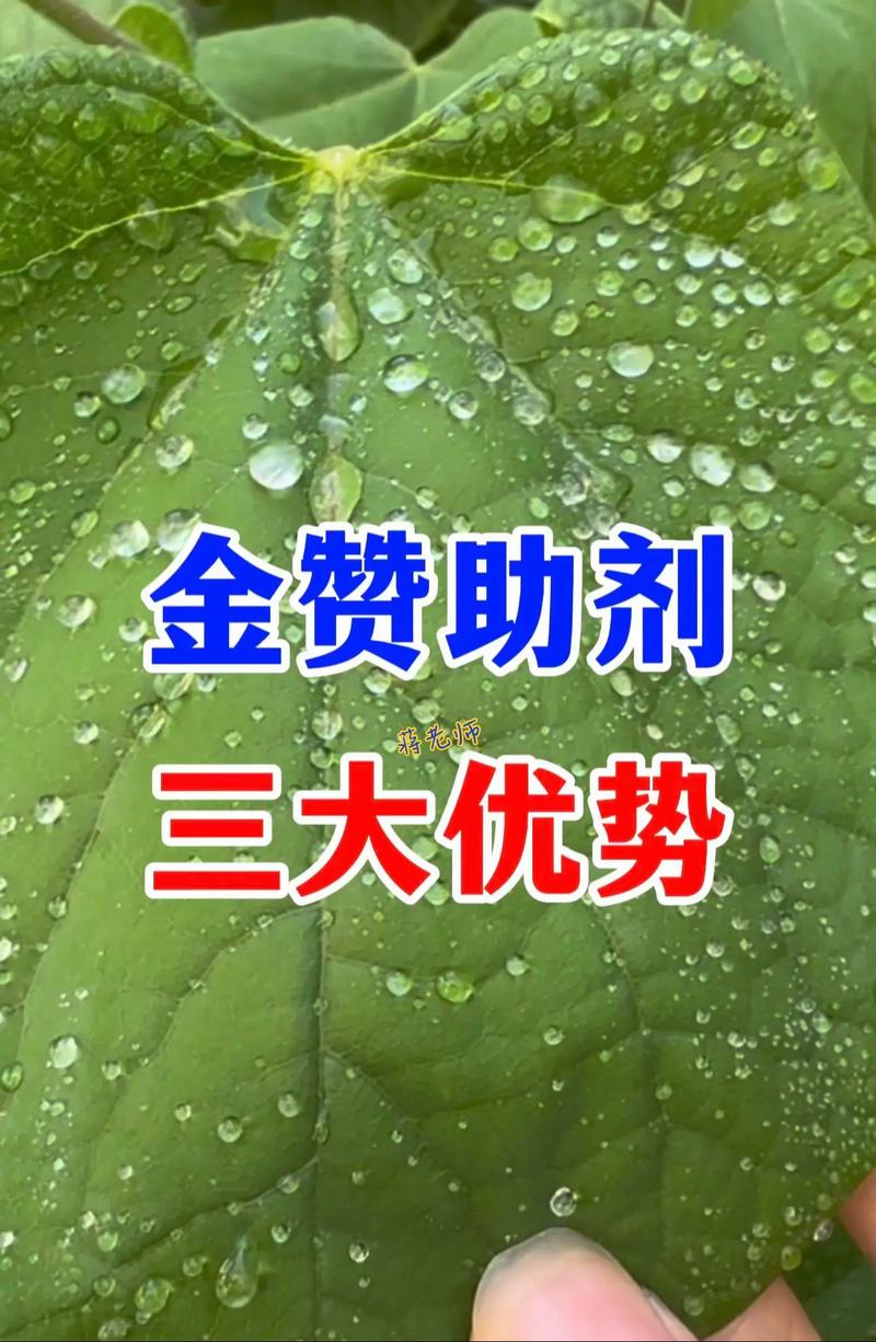 下载掌金赞