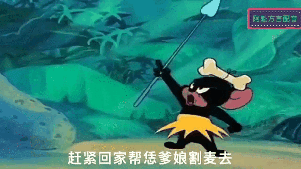 猫和老鼠搞笑方言版