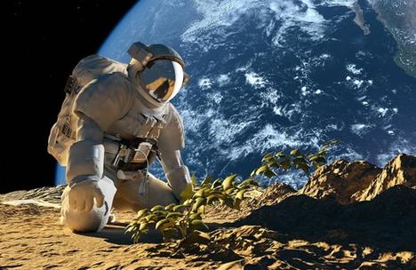 火星种植成功了吗
