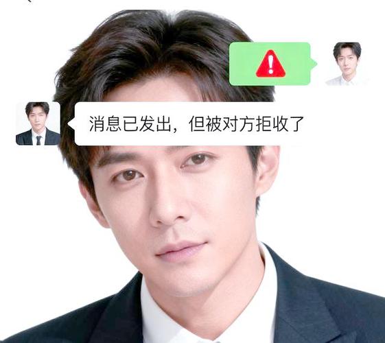 被拉黑是什么样子游戏截图