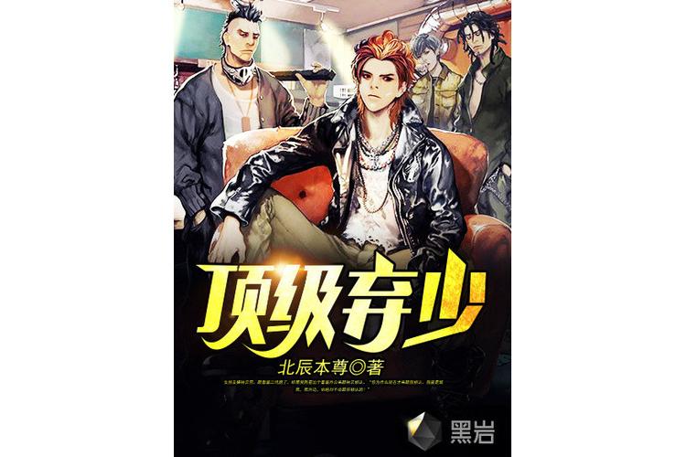 顶级弃少二黑岩小说网
