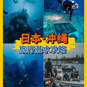 用什么驯服海龟