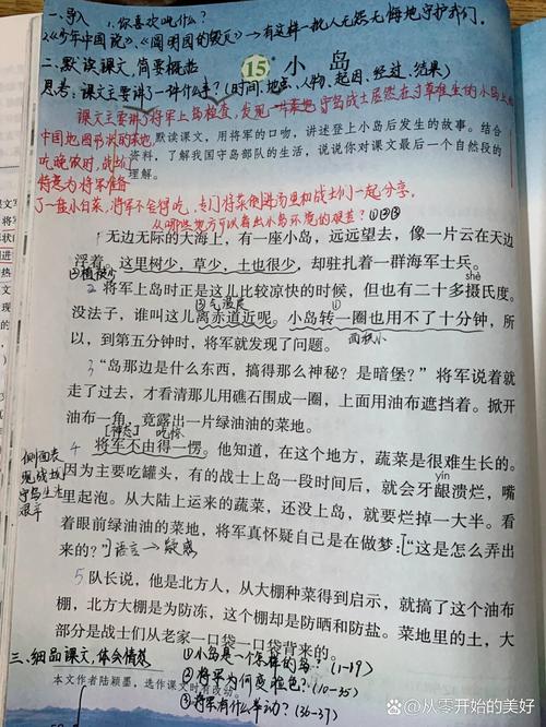 小岛是无辜的阅读答案