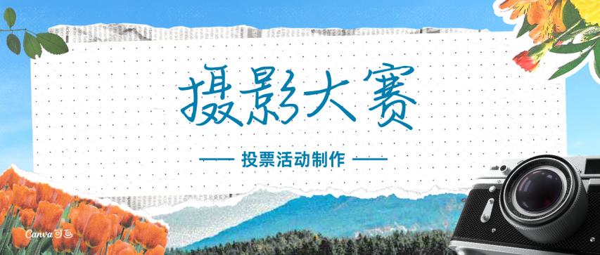 投票小助手能查刷票吗