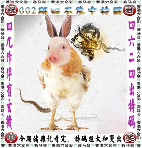 今晚准确生肖