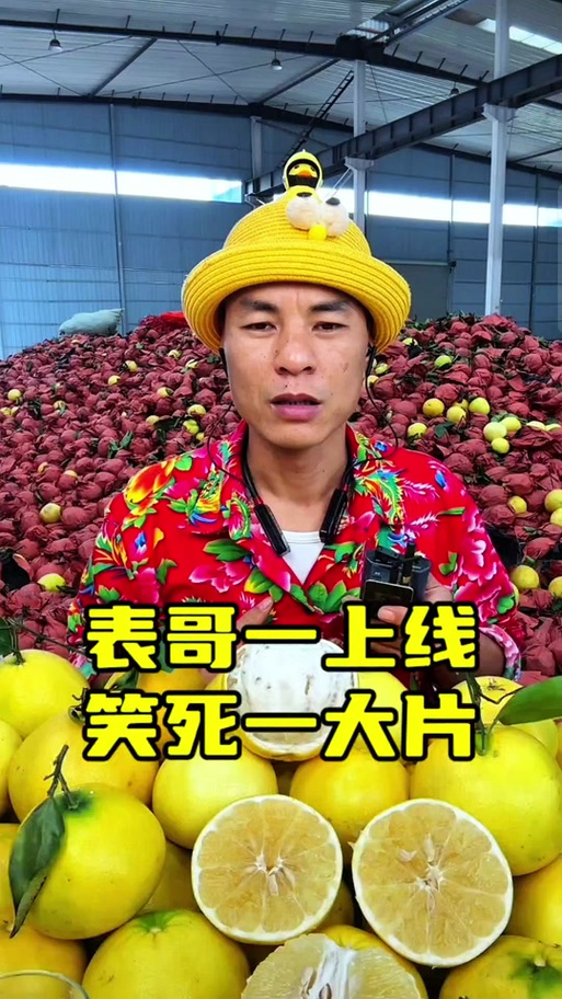 广西表哥语音mp3