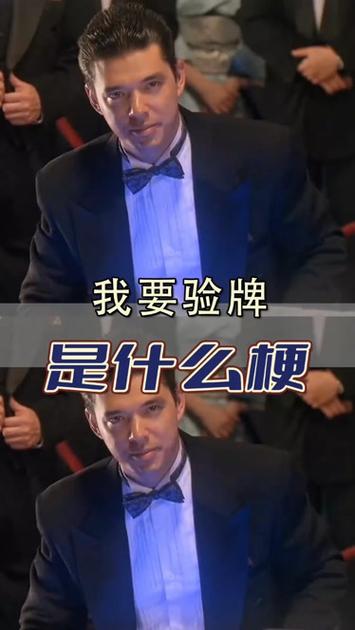 梗我要验牌怎么幽默回复截图