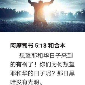 生命读经完整版属灵书报缩略图