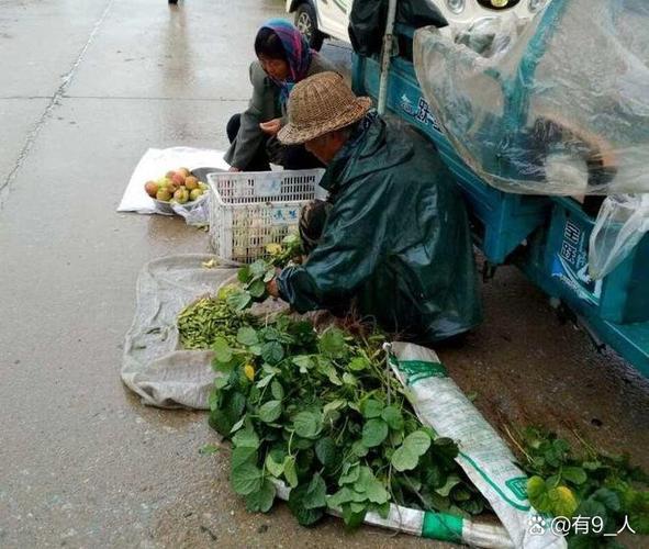 农爷爷
