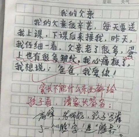 与众不同的爸爸作文