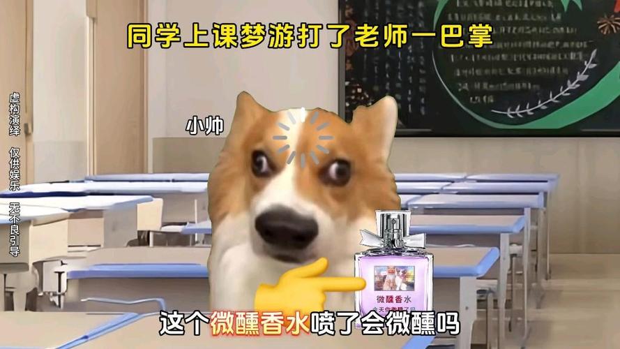 上课梦游搞笑现场