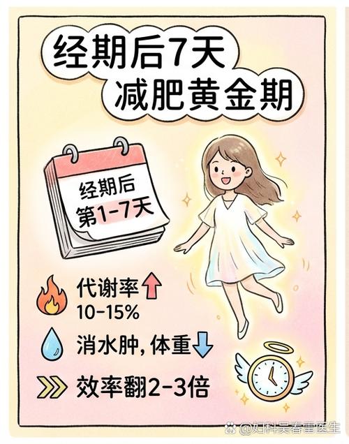 经期后七天减肥法