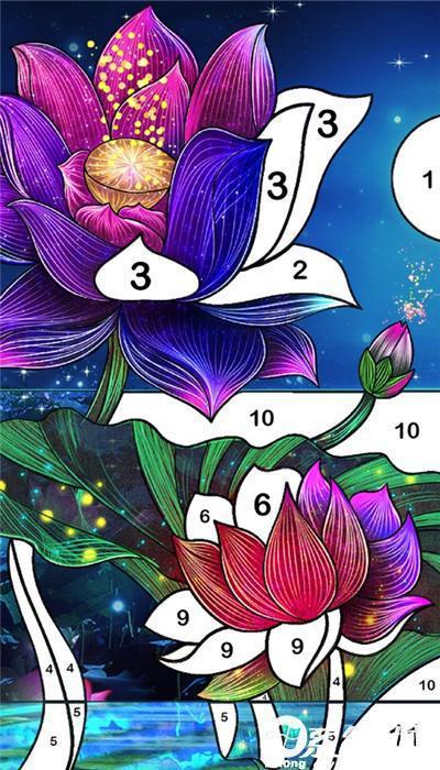 二次元数字涂色