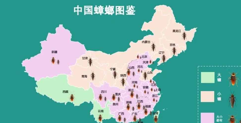 中国古代有蟑螂吗