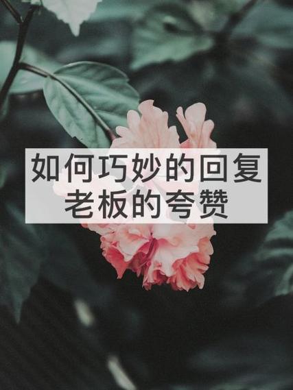 老板夸赞怎么巧妙回答