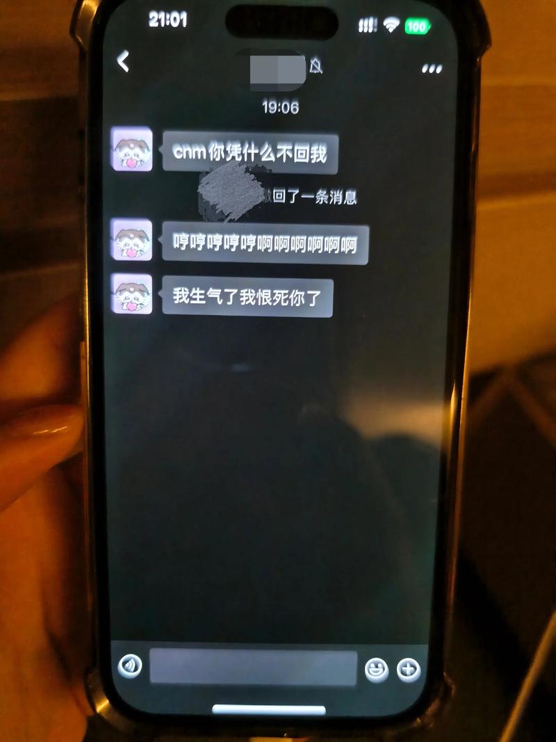 用自己的手机能看到别人的聊天记录
