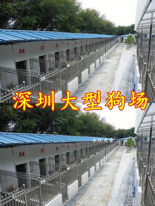 附近狗场养殖基地