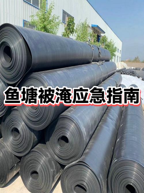 鱼塘承包期50年允许吗