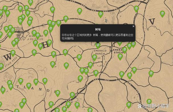荒野大镖客草药大师4