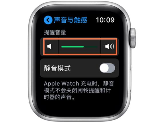 苹果手表可以播放声音吗