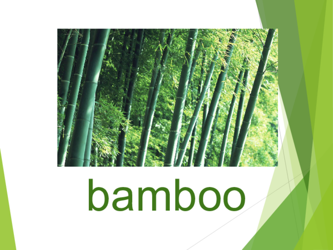 bamboo中文
