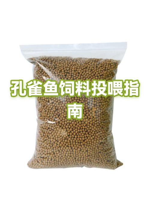 孔雀鱼幼鱼一天喂几次
