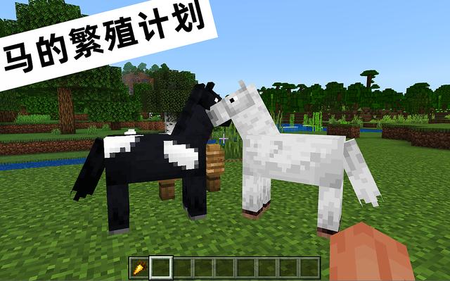 我的世界马繁殖机制