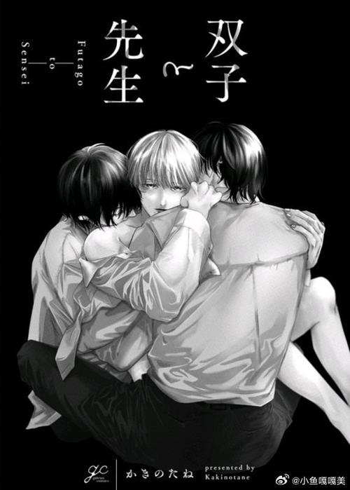 双子佩免费阅读