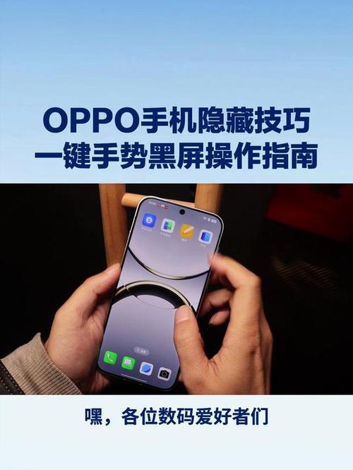 vivo手机遮挡黑屏的方法