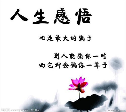 人生感言人生感悟