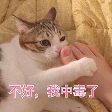 闻到脚臭的表情