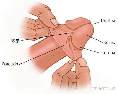 同房用精油有什么影响