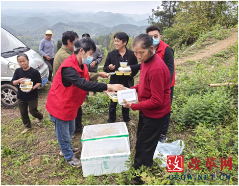 农民遇到困难打什么热线电话截图