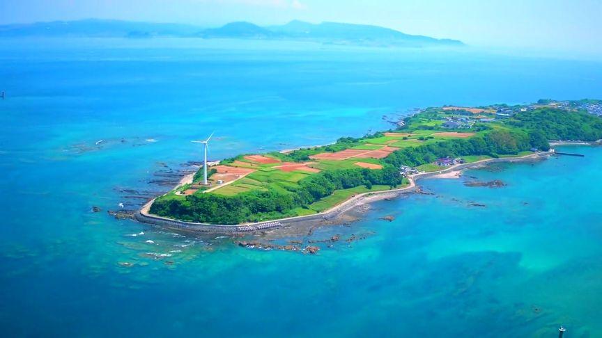 我在海岛种田发家致富游戏截图